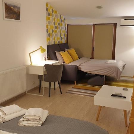 Fagaras Cosy Flat Villa Eksteriør billede