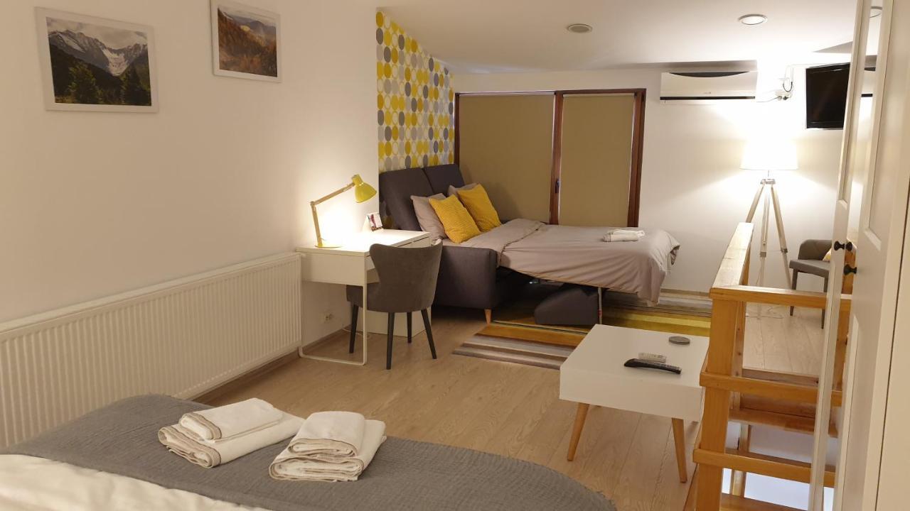 Fagaras Cosy Flat Villa Eksteriør billede