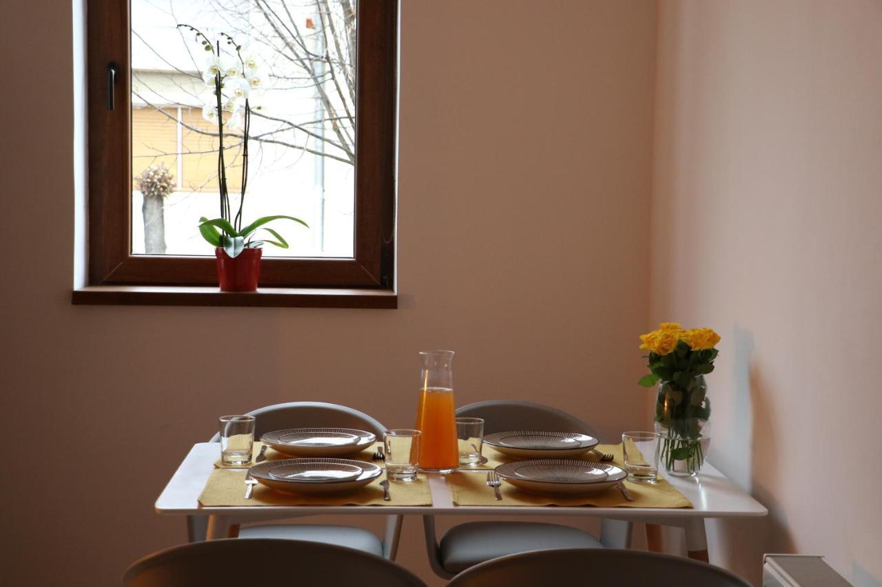 Fagaras Cosy Flat Villa Eksteriør billede
