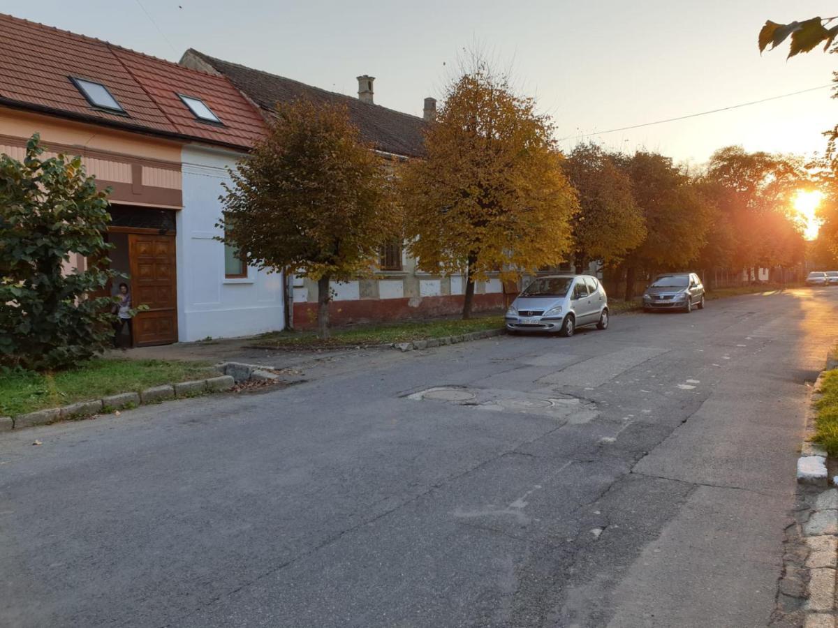 Fagaras Cosy Flat Villa Eksteriør billede